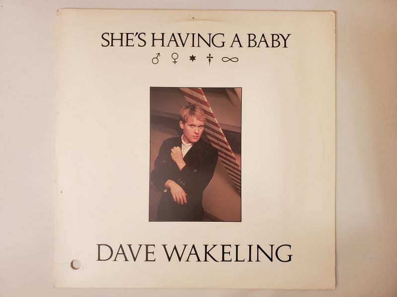 Dave Wakeling She's Having a Baby vinyl record